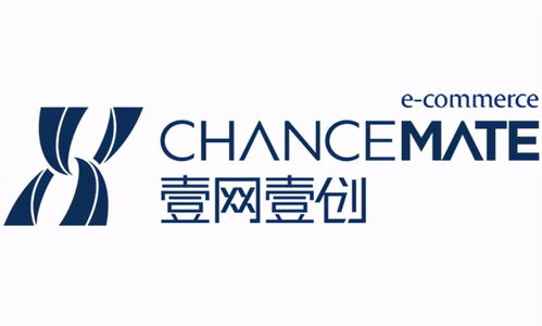 沈陽淘寶代運營公司綜合實力解析與臺州廣告設計行業(yè)特色概覽